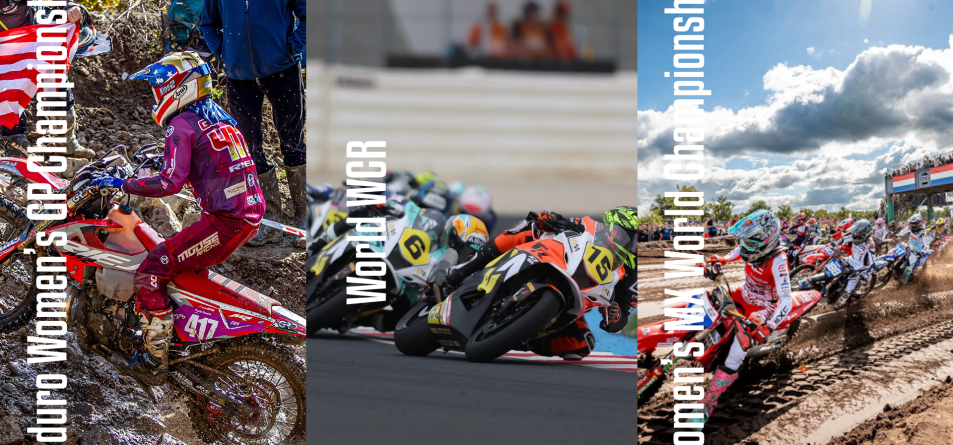 Media Creation for 2024 - going beyond the status quo page 89 page 144 page 158_1